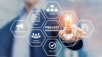 Consulting and Project Management